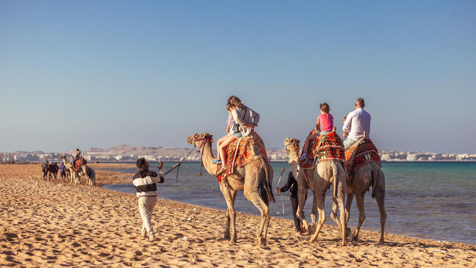 Ultimate Hurghada Day: Dolphins, Coral Reefs & Camel Ride